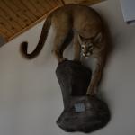 OTRA2013_1957 (July 21, 2013)